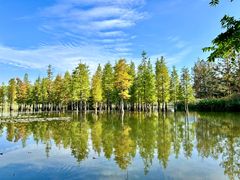-白鹭湾湿地公园