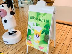 -一只酸奶牛(双流万达广场店)