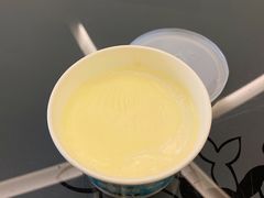 酸奶-正飞鲜奶(公园北街店)