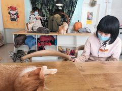 -平行世界·猫咖(首经贸店)