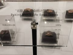 -北京周口店北京人遗址博物馆