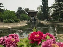 -国家植物园南园