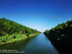 -黄海国家森林公园