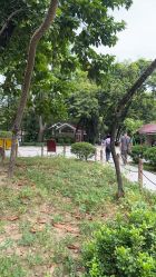 -小鲤鱼寻宝记·AR亲子户外剧本闯关(广州东山湖公园店)