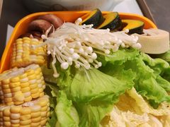 -润园四季椰子鸡火锅(南山海岸城店)