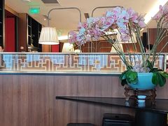 -新白鹿餐厅(松江开元地中海店)