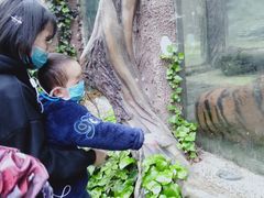 -贵州森林野生动物园