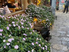 -民食香·腊排骨野生菌美食(木府店)
