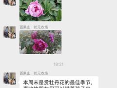-百果山乐享果玩