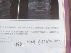 -宠爱国际动物医院·疑难骨科·心肾内科·皮肤科(太阳宫店)