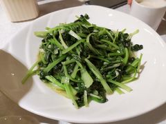 清炒乌塌菜-楚畹园