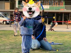 -前小桔亲子创意农场·草莓采摘·露营烧烤