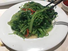 -沙龙酒家
