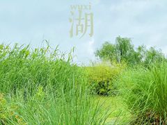 -渤公岛生态公园