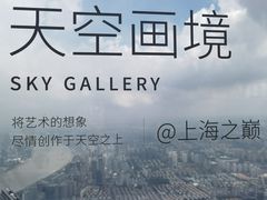 -上海中心大厦