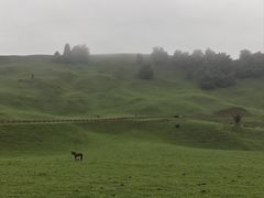 -新疆那拉提国家旅游度假区