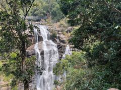 -海南热带雨林国家公园吊罗山景区