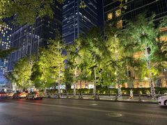 -成都尼依格罗酒店