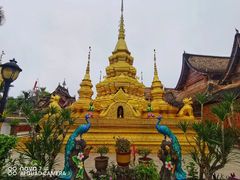 -西双版纳傣族园