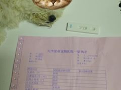 -中环花鸟鱼虫市场