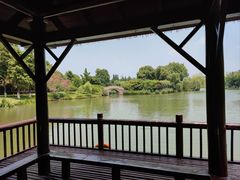 -圩墩遗址公园