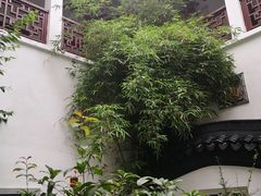 -光裕书厅·评弹茶馆·剧场(观前街店)