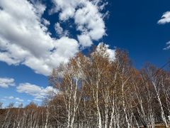 -克什克腾世界地质公园青山景区