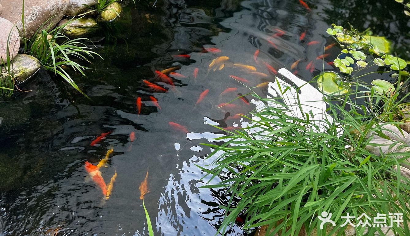 青岛的中国风小茶馆，我只服它