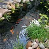 青岛的中国风小茶馆，我只服它