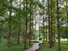 -国家植物园南园