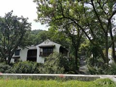 -杭州雅谷泉山庄酒店-餐厅