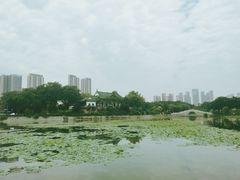 -月湖风景区