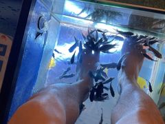 -汤连得温泉馆(宝山店)