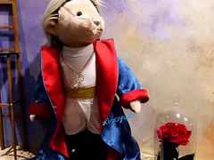 -济州岛泰迪熊博物馆