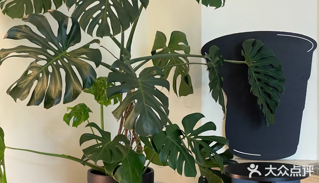 黑白简约风社区咖啡⬛️⬜️万圣节皮肤[鬼脸]已上线