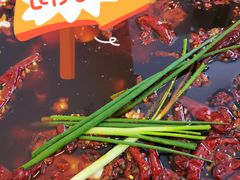 -黄潇洒老火锅(九眼桥宏济巷店)