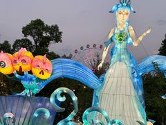 -洋湖国家湿地公园