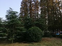 -汇泉广场