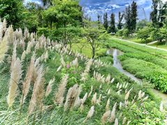 -深圳大学总医院