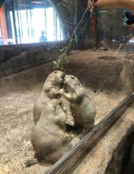 点击看大图 -宝燕乐园(闵行旗舰店)