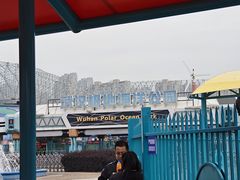 -海合安武汉极地海洋公园