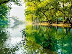 -鹿亭中村