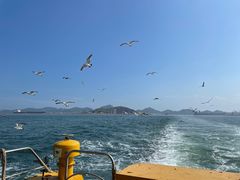-海驴岛(荣成市)