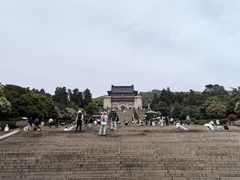 -南京金丝利喜来登酒店