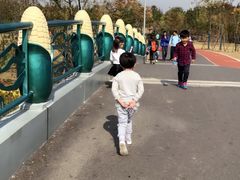 -上海长兴岛郊野公园