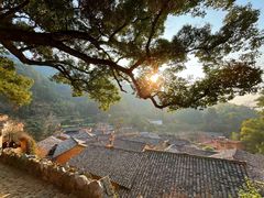 -杨家堂村