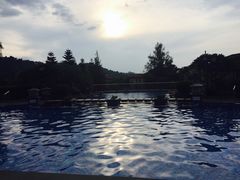 -河源万绿湖美思威尔顿酒店