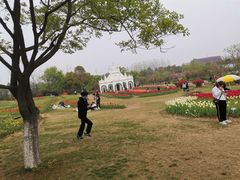 -杭州湾海上花田景区