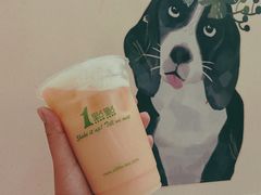 养乐多绿-1点点(河南中路店)