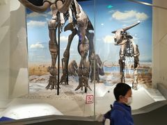 -国家自然博物馆